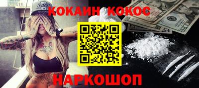 шишки Кимры