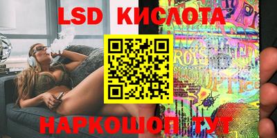 шишки Кимры