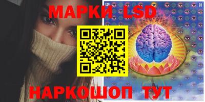 шишки Кимры