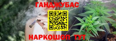 шишки Кимры