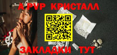 шишки Кимры