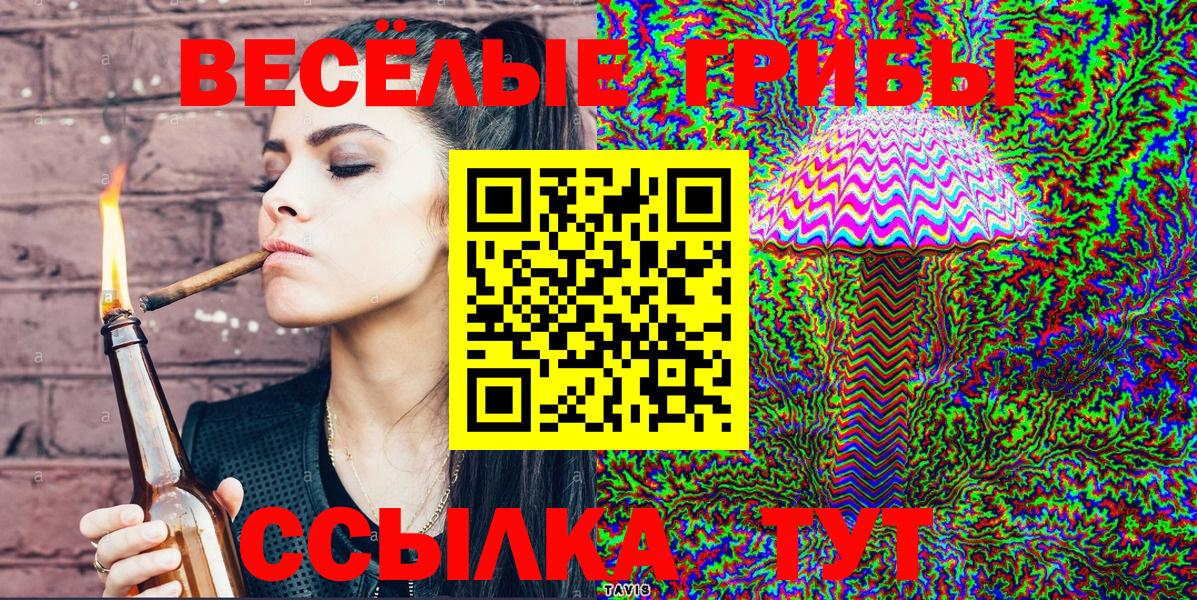 Псилоцибиновые грибы ЛСД Куйбышев