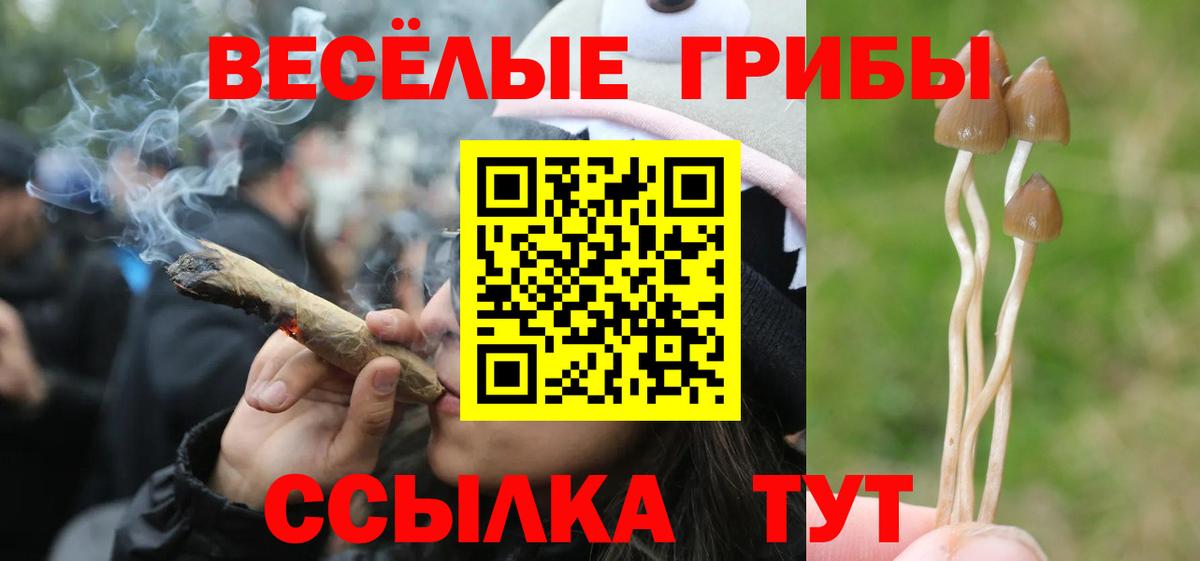 Куйбышев  наркота  Вход с VPN  Галлюциногенные грибы мухоморы 